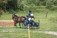 017 P05-MANIABILITE- ATTELAGE - 27052017-ATE 1156 : 2017, 27 Mai 2017, Concours ATTELAGE 2017, Maniabilité, P05