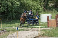 018 P05-MANIABILITE- ATTELAGE - 27052017-ATE 1157 : 2017, 27 Mai 2017, Concours ATTELAGE 2017, Maniabilité, P05