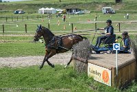 025 P05-MANIABILITE- ATTELAGE - 27052017-ATE 1164 : 2017, 27 Mai 2017, Concours ATTELAGE 2017, Maniabilité, P05