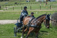 027 P05-MANIABILITE- ATTELAGE - 27052017-ATE 1166 : 2017, 27 Mai 2017, Concours ATTELAGE 2017, Maniabilité, P05