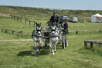 003 P07-DRESSAGE - ATTELAGE - 27052017-GAL 0813 : 2017, 27 Mai 2017, Concours ATTELAGE 2017, DR08, Dressage