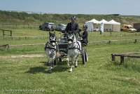 005 P07-DRESSAGE - ATTELAGE - 27052017-GAL 0815 : 2017, 27 Mai 2017, Concours ATTELAGE 2017, DR08, Dressage