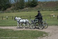 006 P07-DRESSAGE - ATTELAGE - 27052017-GAL 0824 : 2017, 27 Mai 2017, Concours ATTELAGE 2017, DR08, Dressage