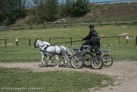 006 P07-DRESSAGE - ATTELAGE - 27052017-GAL 0824 : 2017, 27 Mai 2017, Concours ATTELAGE 2017, DR08, Dressage