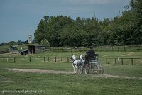 007 P07-DRESSAGE - ATTELAGE - 27052017-GAL 0825 : 2017, 27 Mai 2017, Concours ATTELAGE 2017, DR08, Dressage