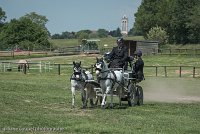 009 P07-DRESSAGE - ATTELAGE - 27052017-GAL 0828 : 2017, 27 Mai 2017, Concours ATTELAGE 2017, DR08, Dressage