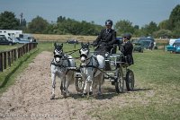 011 P07-DRESSAGE - ATTELAGE - 27052017-GAL 0830 : 2017, 27 Mai 2017, Concours ATTELAGE 2017, DR08, Dressage