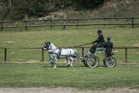 013 P07-DRESSAGE - ATTELAGE - 27052017-GAL 0832 : 2017, 27 Mai 2017, Concours ATTELAGE 2017, DR08, Dressage