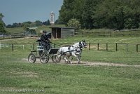 015 P07-DRESSAGE - ATTELAGE - 27052017-GAL 0834 : 2017, 27 Mai 2017, Concours ATTELAGE 2017, DR08, Dressage