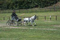 016 P07-DRESSAGE - ATTELAGE - 27052017-GAL 0835 : 2017, 27 Mai 2017, Concours ATTELAGE 2017, DR08, Dressage