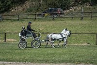 017 P07-DRESSAGE - ATTELAGE - 27052017-GAL 0836 : 2017, 27 Mai 2017, Concours ATTELAGE 2017, DR08, Dressage