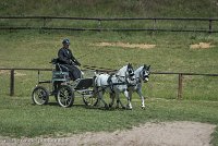 018 P07-DRESSAGE - ATTELAGE - 27052017-GAL 0837 : 2017, 27 Mai 2017, Concours ATTELAGE 2017, DR08, Dressage