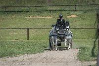 019 P07-DRESSAGE - ATTELAGE - 27052017-GAL 0838 : 2017, 27 Mai 2017, Concours ATTELAGE 2017, DR08, Dressage