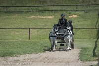 020 P07-DRESSAGE - ATTELAGE - 27052017-GAL 0839 : 2017, 27 Mai 2017, Concours ATTELAGE 2017, DR08, Dressage