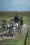 023 P07-DRESSAGE - ATTELAGE - 27052017-GAL 0842 : 2017, 27 Mai 2017, Concours ATTELAGE 2017, DR08, Dressage