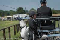 025 P07-DRESSAGE - ATTELAGE - 27052017-GAL 0844 : 2017, 27 Mai 2017, Concours ATTELAGE 2017, DR08, Dressage