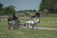 026 P07-DRESSAGE - ATTELAGE - 27052017-GAL 0845 : 2017, 27 Mai 2017, Concours ATTELAGE 2017, DR08, Dressage