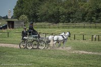 027 P07-DRESSAGE - ATTELAGE - 27052017-GAL 0846 : 2017, 27 Mai 2017, Concours ATTELAGE 2017, DR08, Dressage