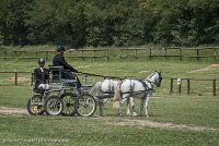 028 P07-DRESSAGE - ATTELAGE - 27052017-GAL 0847 : 2017, 27 Mai 2017, Concours ATTELAGE 2017, DR08, Dressage