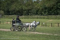 029 P07-DRESSAGE - ATTELAGE - 27052017-GAL 0848 : 2017, 27 Mai 2017, Concours ATTELAGE 2017, DR08, Dressage