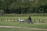 031 P07-DRESSAGE - ATTELAGE - 27052017-GAL 0850 : 2017, 27 Mai 2017, Concours ATTELAGE 2017, DR08, Dressage