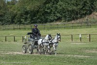 035 P07-DRESSAGE - ATTELAGE - 27052017-GAL 0854 : 2017, 27 Mai 2017, Concours ATTELAGE 2017, DR08, Dressage