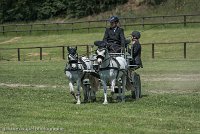 036 P07-DRESSAGE - ATTELAGE - 27052017-GAL 0855 : 2017, 27 Mai 2017, Concours ATTELAGE 2017, DR08, Dressage