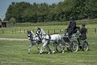 037 P07-DRESSAGE - ATTELAGE - 27052017-GAL 0856 : 2017, 27 Mai 2017, Concours ATTELAGE 2017, DR08, Dressage