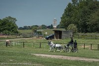 038 P07-DRESSAGE - ATTELAGE - 27052017-GAL 0857 : 2017, 27 Mai 2017, Concours ATTELAGE 2017, DR08, Dressage