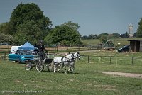 039 P07-DRESSAGE - ATTELAGE - 27052017-GAL 0858 : 2017, 27 Mai 2017, Concours ATTELAGE 2017, DR08, Dressage