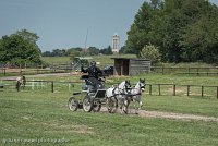 040 P07-DRESSAGE - ATTELAGE - 27052017-GAL 0859 : 2017, 27 Mai 2017, Concours ATTELAGE 2017, DR08, Dressage