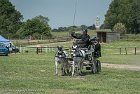 042 P07-DRESSAGE - ATTELAGE - 27052017-GAL 0861 : 2017, 27 Mai 2017, Concours ATTELAGE 2017, DR08, Dressage