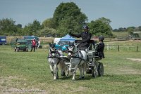 043 P07-DRESSAGE - ATTELAGE - 27052017-GAL 0862 : 2017, 27 Mai 2017, Concours ATTELAGE 2017, DR08, Dressage