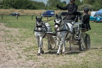 044 P07-DRESSAGE - ATTELAGE - 27052017-GAL 0863 : 2017, 27 Mai 2017, Concours ATTELAGE 2017, DR08, Dressage