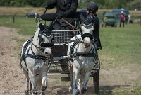 045 P07-DRESSAGE - ATTELAGE - 27052017-GAL 0864 : 2017, 27 Mai 2017, Concours ATTELAGE 2017, DR08, Dressage