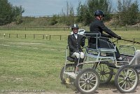 046 P07-DRESSAGE - ATTELAGE - 27052017-GAL 0865 : 2017, 27 Mai 2017, Concours ATTELAGE 2017, DR08, Dressage