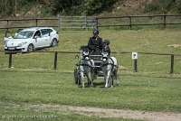 047 P07-DRESSAGE - ATTELAGE - 27052017-GAL 0866 : 2017, 27 Mai 2017, Concours ATTELAGE 2017, DR08, Dressage