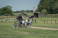 048 P07-DRESSAGE - ATTELAGE - 27052017-GAL 0868 : 2017, 27 Mai 2017, Concours ATTELAGE 2017, DR08, Dressage