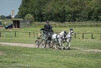 049 P07-DRESSAGE - ATTELAGE - 27052017-GAL 0869 : 2017, 27 Mai 2017, Concours ATTELAGE 2017, DR08, Dressage