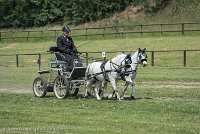 050 P07-DRESSAGE - ATTELAGE - 27052017-GAL 0870 : 2017, 27 Mai 2017, Concours ATTELAGE 2017, DR08, Dressage