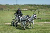 051 P07-DRESSAGE - ATTELAGE - 27052017-GAL 0871 : 2017, 27 Mai 2017, Concours ATTELAGE 2017, DR08, Dressage