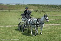 052 P07-DRESSAGE - ATTELAGE - 27052017-GAL 0872 : 2017, 27 Mai 2017, Concours ATTELAGE 2017, DR08, Dressage