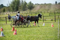 001 P08-MAGNABILITE- ATTELAGE - 27052017-ATE 1248 : 2017, 27 Mai 2017, Concours ATTELAGE 2017, Maniabilité, P08