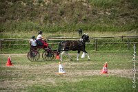 002 P08-MAGNABILITE- ATTELAGE - 27052017-ATE 1249 : 2017, 27 Mai 2017, Concours ATTELAGE 2017, Maniabilité, P08