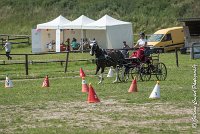 003 P08-MAGNABILITE- ATTELAGE - 27052017-ATE 1250 : 2017, 27 Mai 2017, Concours ATTELAGE 2017, Maniabilité, P08
