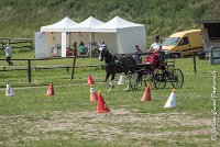 003 P08-MAGNABILITE- ATTELAGE - 27052017-ATE 1250 : 2017, 27 Mai 2017, Concours ATTELAGE 2017, Maniabilité, P08