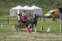 005 P08-MAGNABILITE- ATTELAGE - 27052017-ATE 1252 : 2017, 27 Mai 2017, Concours ATTELAGE 2017, Maniabilité, P08