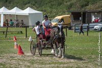 006 P08-MAGNABILITE- ATTELAGE - 27052017-ATE 1253 : 2017, 27 Mai 2017, Concours ATTELAGE 2017, Maniabilité, P08