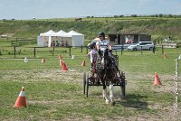 008 P08-MAGNABILITE- ATTELAGE - 27052017-ATE 1255 : 2017, 27 Mai 2017, Concours ATTELAGE 2017, Maniabilité, P08