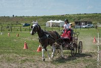 009 P08-MAGNABILITE- ATTELAGE - 27052017-ATE 1256 : 2017, 27 Mai 2017, Concours ATTELAGE 2017, Maniabilité, P08